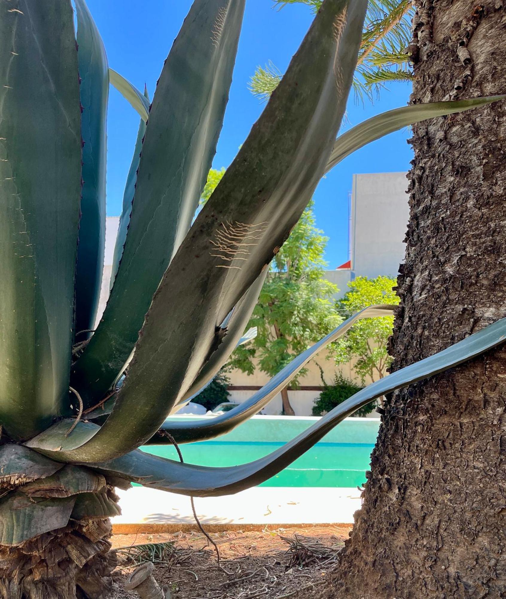 Villa Santa Julia Oaxaca Kültér fotó